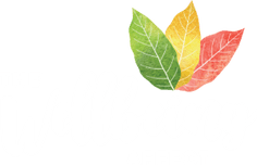 The Wellbeing Affect - logo